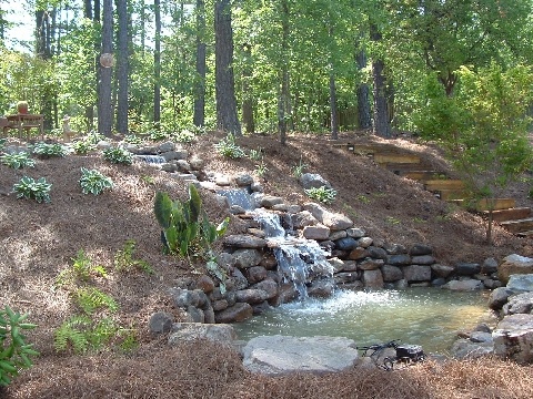 Water Gardens