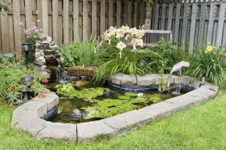 5 Tips for Designing Your Water Garden