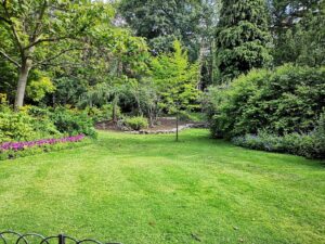 vibrant green lawn with trees and hedges along the sides