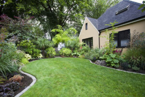 house and yard showcasing one type of landscape with lots of green shrubs and trees