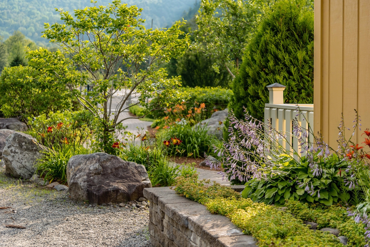 hardscaping and landscaping features in the backyard of a home