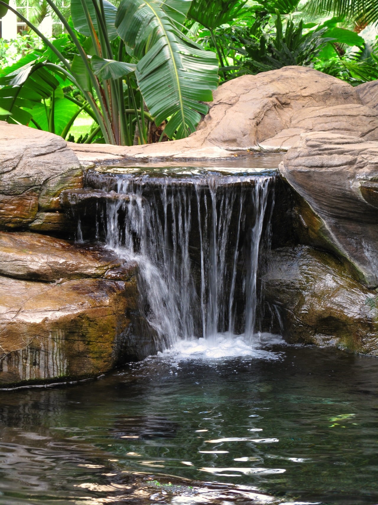 Backyard Bliss: Types of Waterfalls For Your Outdoor Space
