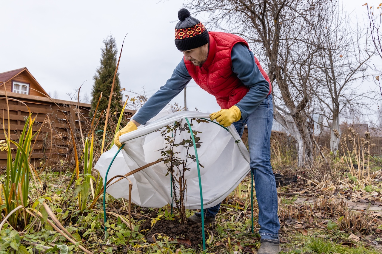 How to Winterize Your Garden for a Healthy Spring Bloom