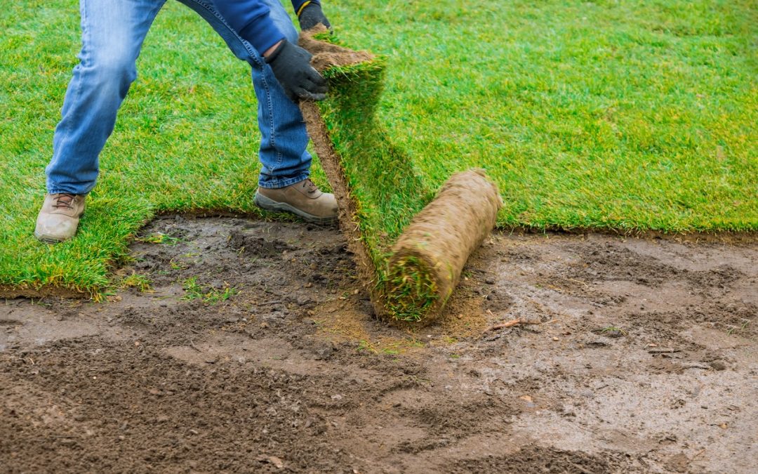 How to Lay Sod: A Step-by-Step Guide