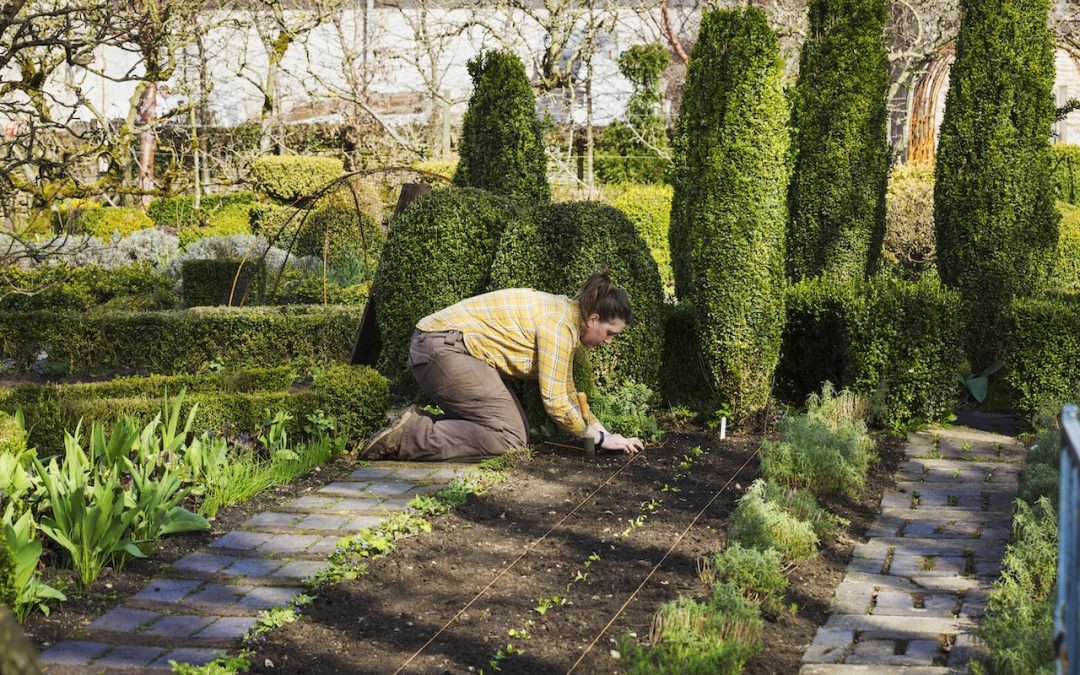 7 Garden Landscaping Ideas for Summer