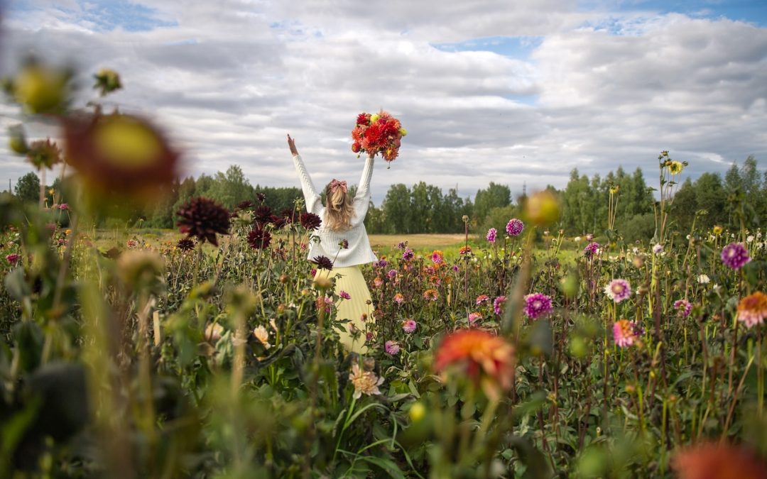 What Are Perennials? Everything You Need to Know