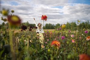 garden of perennial flowers