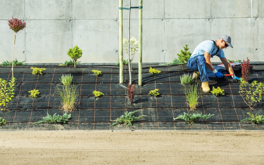 How to Identify Your Planting Zone
